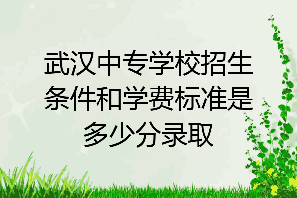 武汉中专学校招生条件和学费标准是多少分录取