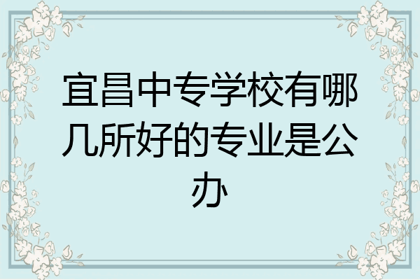 宜昌中专学校有哪几所好的专业是公办