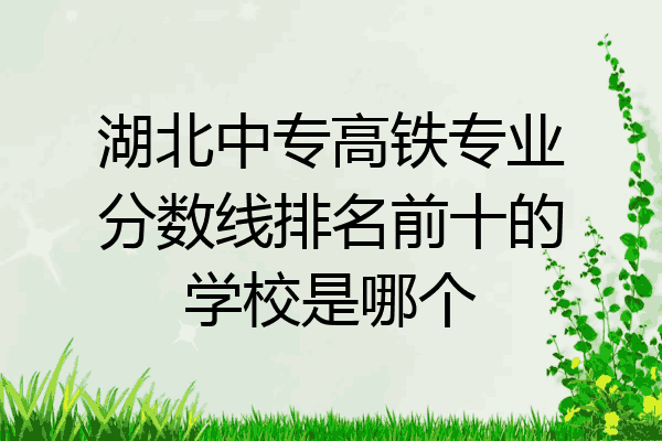 湖北中专高铁专业分数线排名前十的学校是哪个