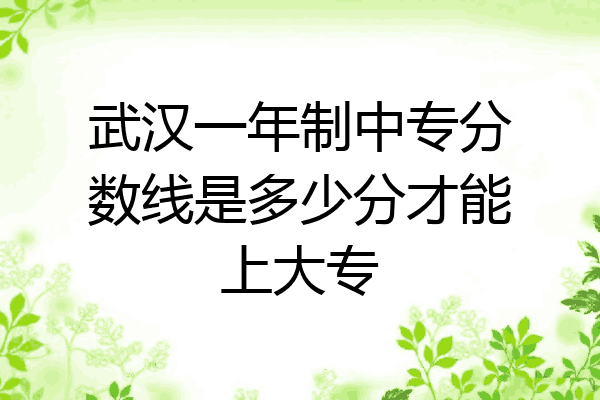 武汉一年制中专分数线是多少分才能上大专