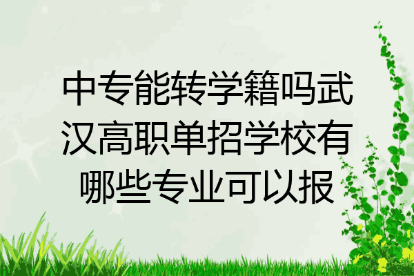 中专能转学籍吗武汉高职单招学校有哪些专业可以报