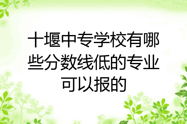 十堰中专学校有哪些分数线低的专业可以报的