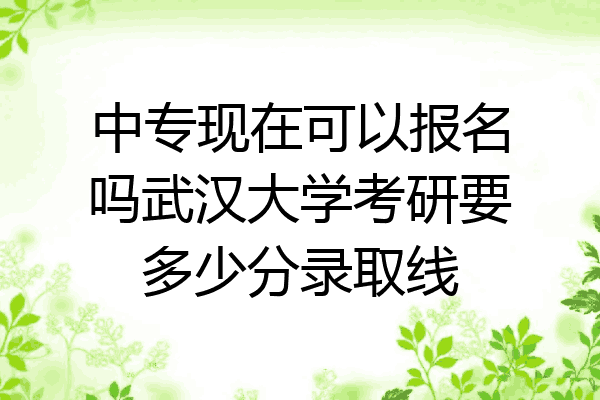 中专现在可以报名吗武汉大学考研要多少分录取线