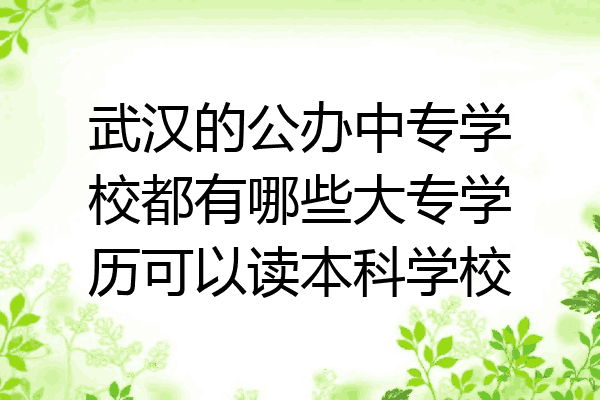 武汉的公办中专学校都有哪些大专学历可以读本科学校