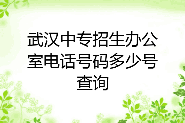 武汉中专招生办公室电话号码多少号查询