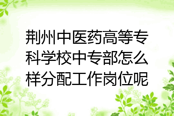 荆州中医药高等专科学校中专部怎么样分配工作岗位呢