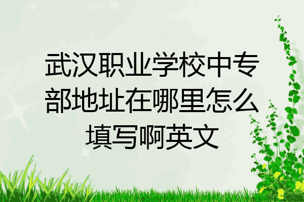武汉职业学校中专部地址在哪里怎么填写啊英文