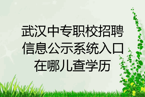武汉中专职校招聘信息公示系统入口在哪儿查学历
