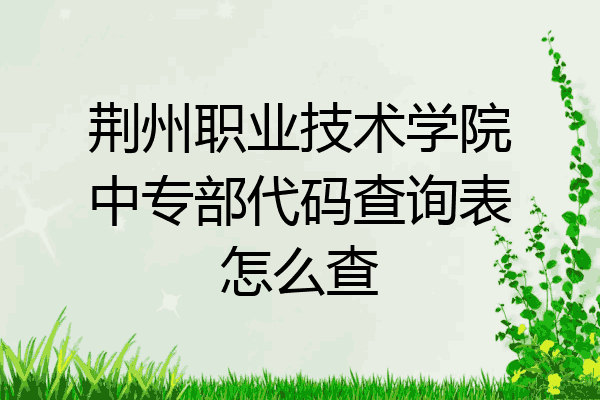 荆州职业技术学院中专部代码查询表怎么查