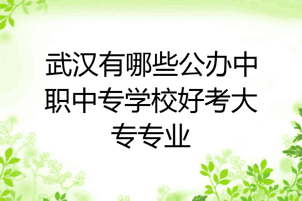 武汉有哪些公办中职中专学校好考大专专业