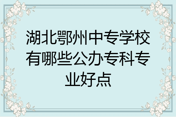 湖北鄂州中专学校有哪些公办专科专业好点