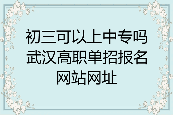 初三可以上中专吗武汉高职单招报名网站网址