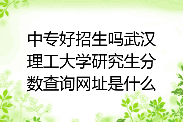 中专好招生吗武汉理工大学研究生分数查询网址是什么