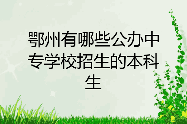 鄂州有哪些公办中专学校招生的本科生