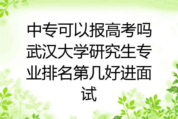 中专可以报高考吗武汉大学研究生专业排名第几好进面试