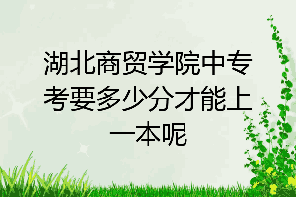 湖北商贸学院中专考要多少分才能上一本呢