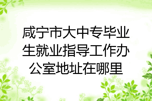 咸宁市大中专毕业生就业指导工作办公室地址在哪里