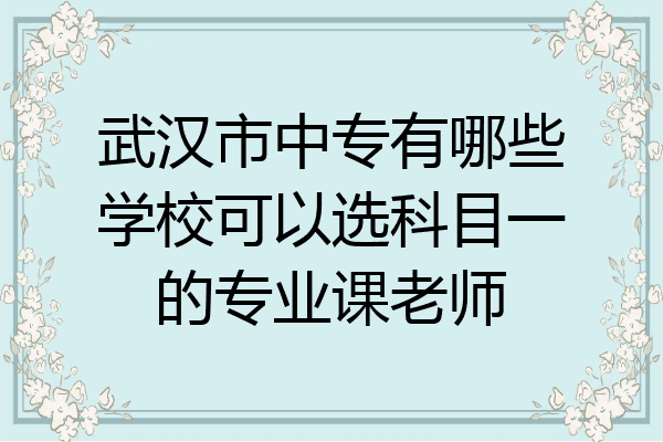 武汉市中专有哪些学校可以选科目一的专业课老师