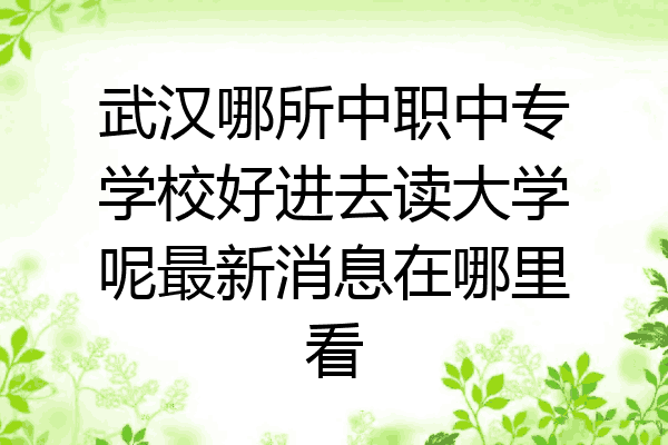 武汉哪所中职中专学校好进去读大学呢最新消息在哪里看
