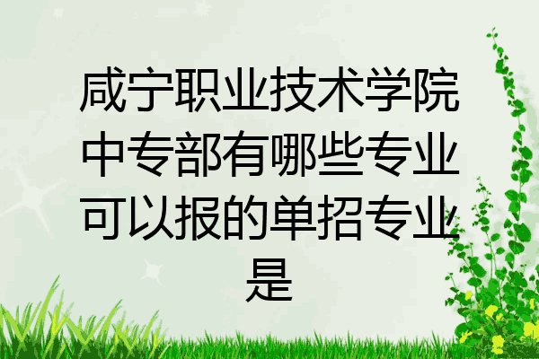 咸宁职业技术学院中专部有哪些专业可以报的单招专业是