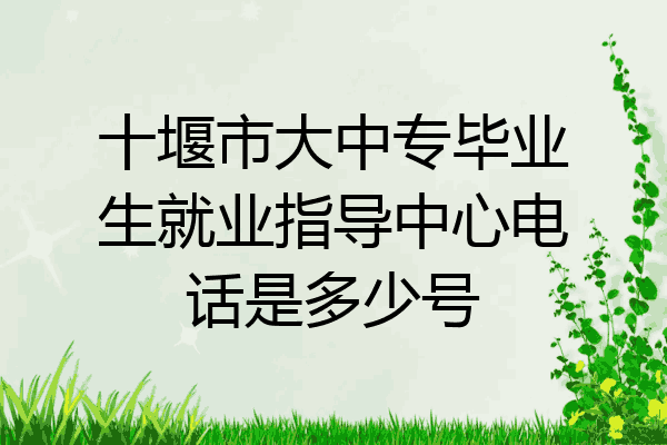 十堰市大中专毕业生就业指导中心电话是多少号