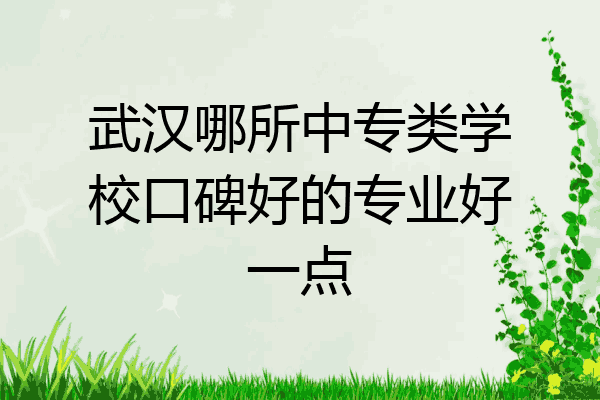 武汉哪所中专类学校口碑好的专业好一点