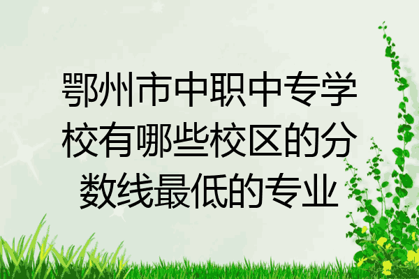 鄂州市中职中专学校有哪些校区的分数线最低的专业