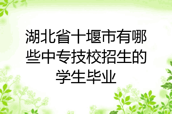 湖北省十堰市有哪些中专技校招生的学生毕业