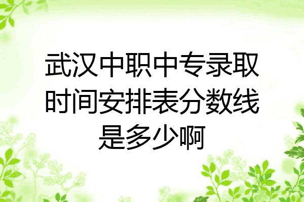 武汉中职中专录取时间安排表分数线是多少啊