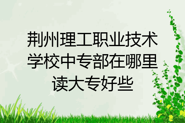 荆州理工职业技术学校中专部在哪里读大专好些