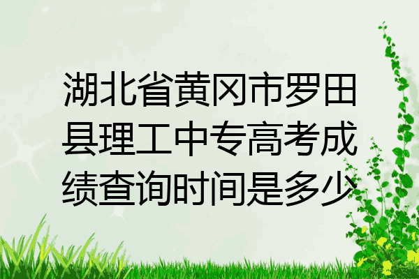 湖北省黄冈市罗田县理工中专高考成绩查询时间是多少