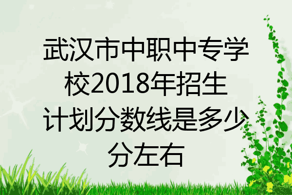武汉市中职中专学校2018年招生计划分数线是多少分左右