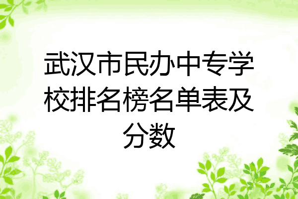 武汉市民办中专学校排名榜名单表及分数