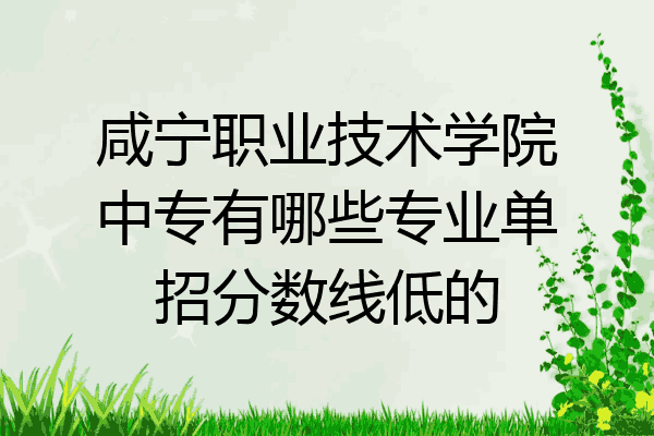 咸宁职业技术学院中专有哪些专业单招分数线低的