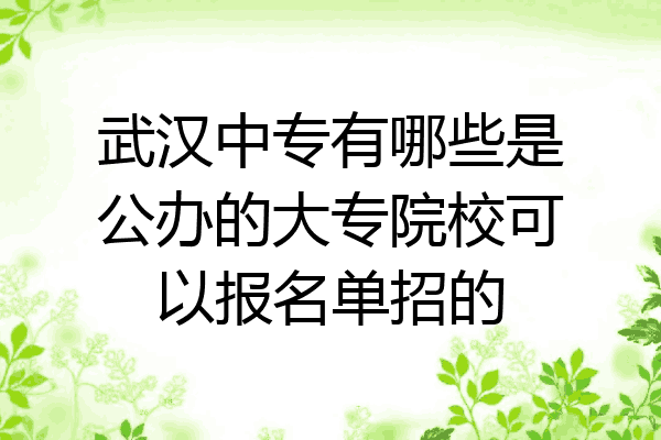 武汉中专有哪些是公办的大专院校可以报名单招的
