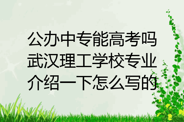 公办中专能高考吗武汉理工学校专业介绍一下怎么写的