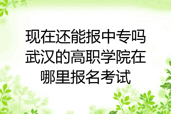 现在还能报中专吗武汉的高职学院在哪里报名考试