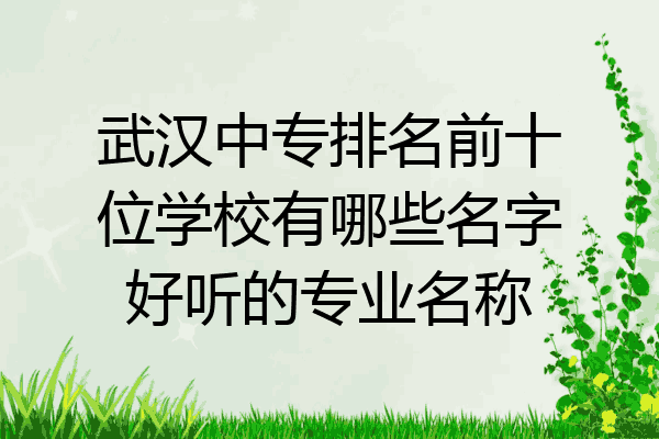 武汉中专排名前十位学校有哪些名字好听的专业名称