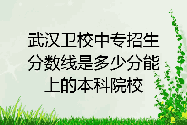 武汉卫校中专招生分数线是多少分能上的本科院校