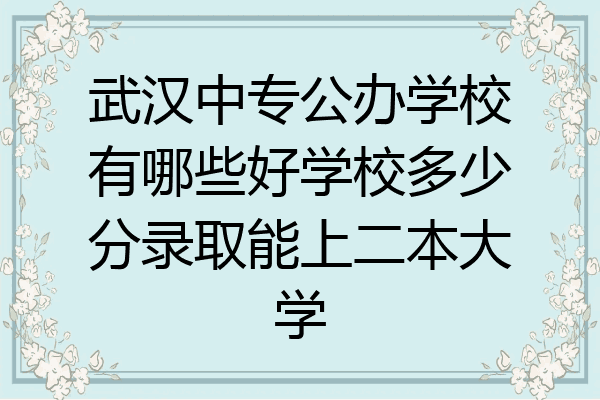 武汉中专公办学校有哪些好学校多少分录取能上二本大学