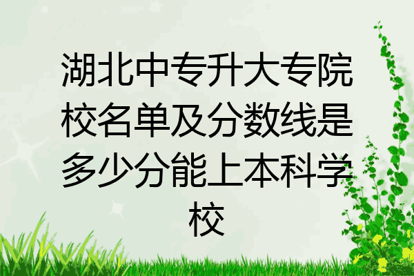 湖北中专升大专院校名单及分数线是多少分能上本科学校