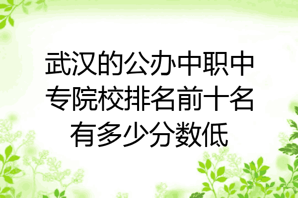 武汉的公办中职中专院校排名前十名有多少分数低