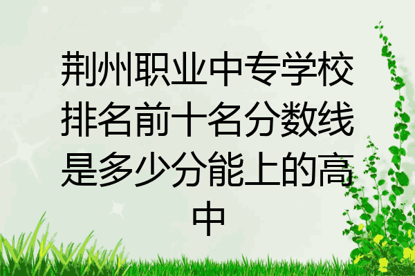 荆州职业中专学校排名前十名分数线是多少分能上的高中