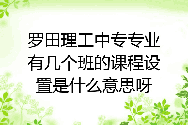 罗田理工中专专业有几个班的课程设置是什么意思呀