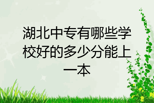 湖北中专有哪些学校好的多少分能上一本