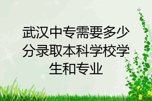 武汉中专需要多少分录取本科学校学生和专业