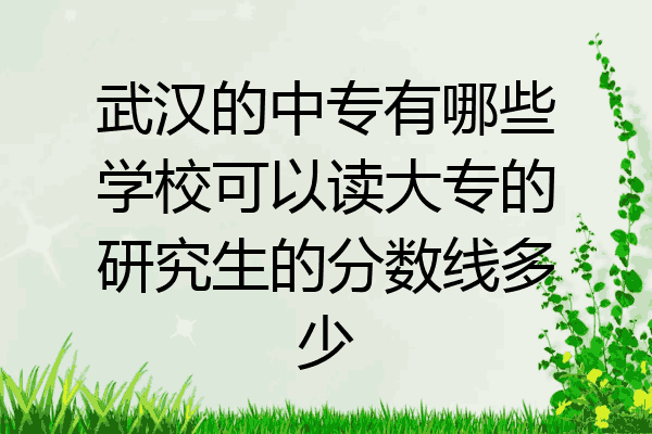 武汉的中专有哪些学校可以读大专的研究生的分数线多少