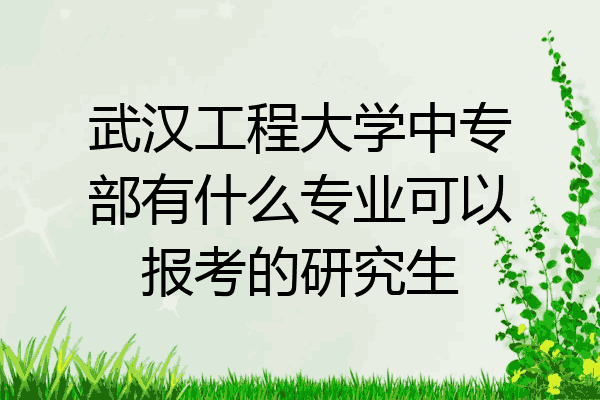 武汉工程大学中专部有什么专业可以报考的研究生