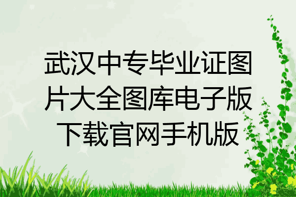 武汉中专毕业证图片大全图库电子版下载官网手机版