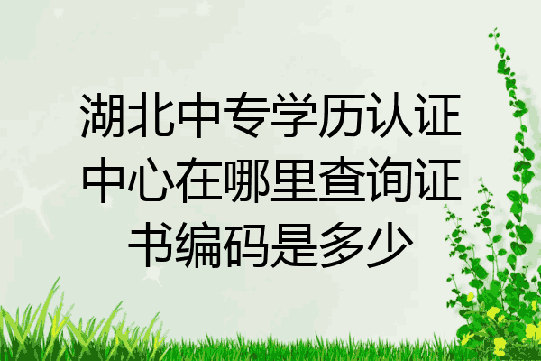 湖北中专学历认证中心在哪里查询证书编码是多少